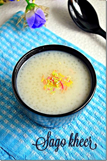 how to make nylon sago kheer