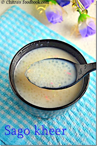 nylon sago kheer recipe 