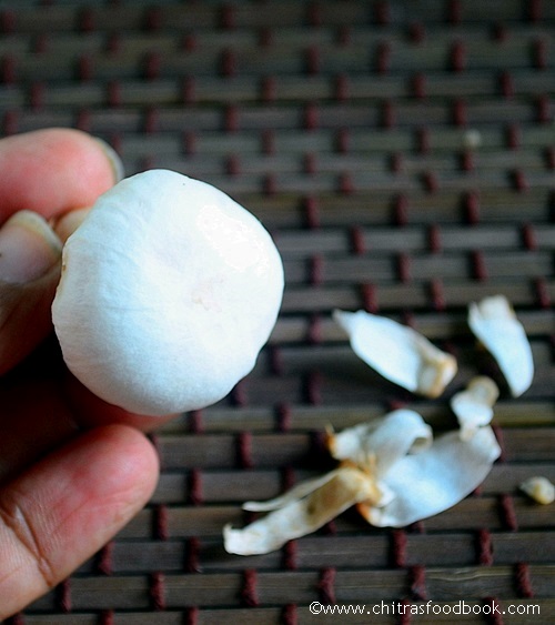 Button mushroom Button mushroom