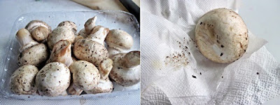 How to clean mushrooms How to clean mushrooms
