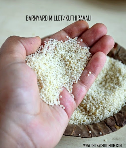 barnyard millet