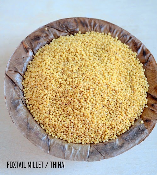 foxtail millet