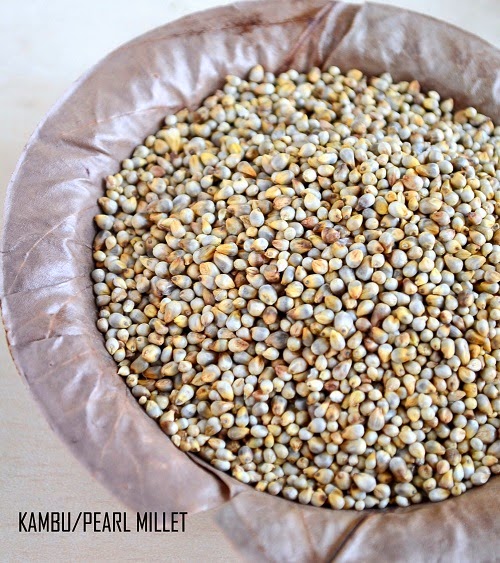 pearl millet