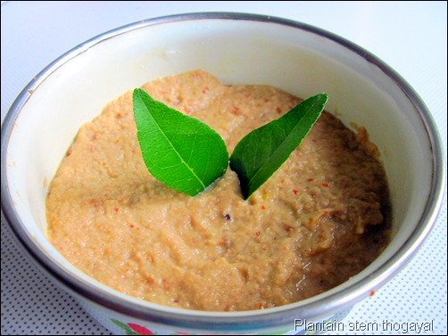 healthy vazhaithandu thogayal for rice