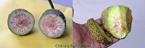 how to cut tender jackfruit how to cut tender jackfruit