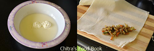 Vegetable spring rolls recipe Vegetable spring rolls recipe