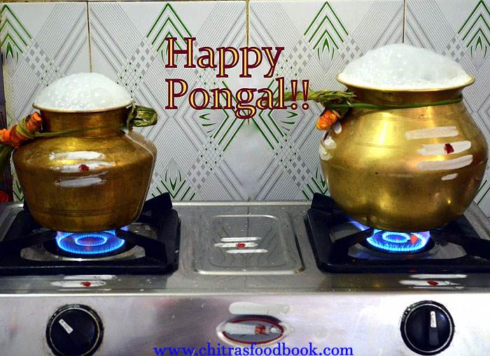 How to celebrate pongal festival