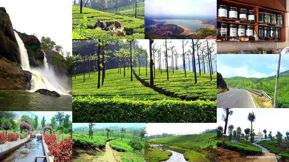 Valparai trip