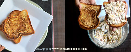 Vegetable mayonnaise sandwich