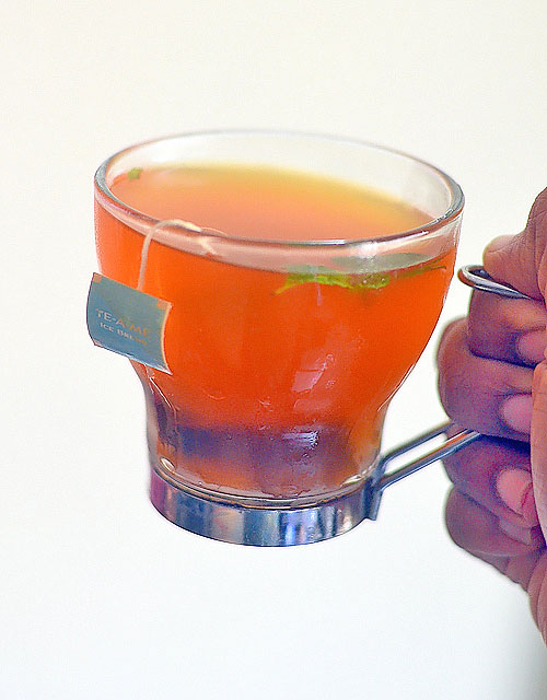 TE-A-ME LEMON FLAVORED ICED BREWS TE-A-ME LEMON FLAVORED ICED BREWS