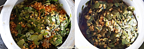 drumstick leaves poriyal drumstick leaves poriyal