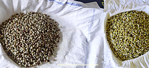 how to make sprouts at home with green gram