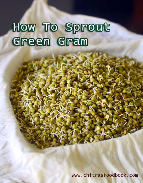 how to make moong bean sprouts
